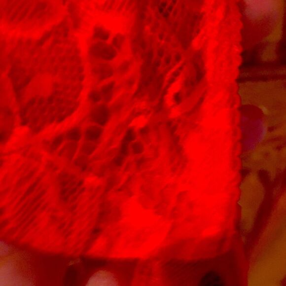 NWT Daisy Fuentes Full Body Sexy Teddy - Picture 5 of 7